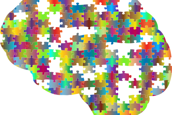 Challenges of Mental Health Diagnosing
