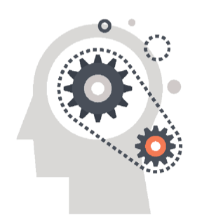Cognition