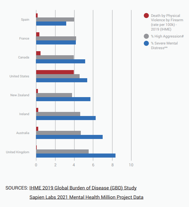 Is Mental Health Behind the Outsized Level of Firearm Deaths in the United States