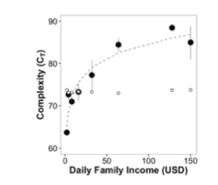 Complexity Of EEG Reflects Socioeconomic Context And Geofootprint