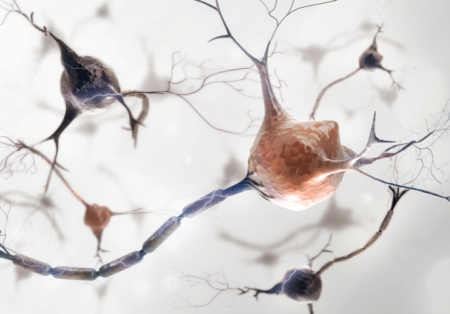 monitor and act units and biological intelligence