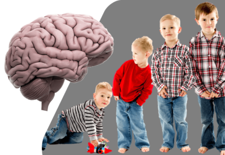 Structural and Dynamical Changes in The Developing Brain