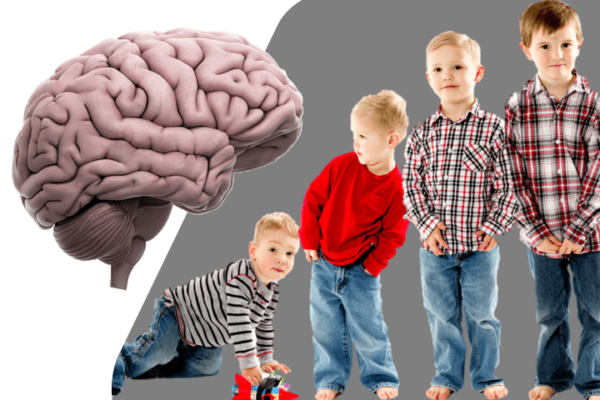 Structural and Dynamical Changes in The Developing Brain