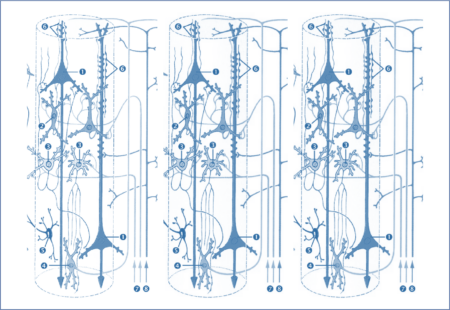 Dynamic Causal Modelling (DCM): DCM – Neural Mass Models and Bayesian Inference