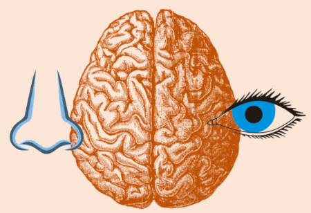 Three Talks on Individual Differences in the Brain and Behavior